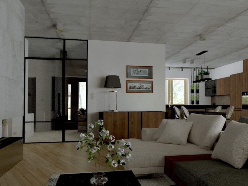 Projekt wnętrza domu – surowy beton (07)